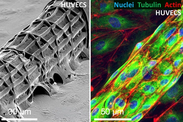 biophotonics