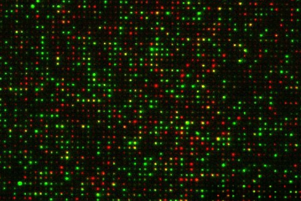 biophotonics